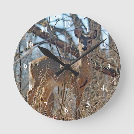 Wildtier-Wald-Foto Runde Wanduhr (Vorderseite)