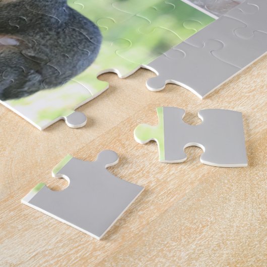 Wildtiere 15 Tiere im Wildpuzzle Puzzle (Seite)