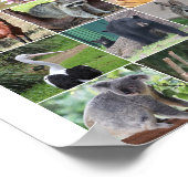 Wildtiere 15 Tiere in der Wildnis Poster (Ecke)