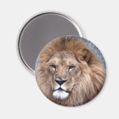 Wildtiere 1 magnet (Vorderseite/Rückseite)