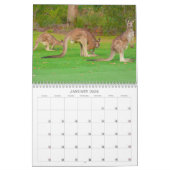 Wildtiere 2025 kalender (Jan 2026)