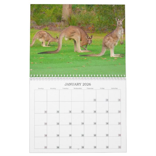 Wildtiere 2025 kalender (Jan 2026)