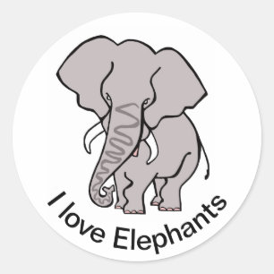 Wildtiere - Afrikanischer ELEPHANT - gefährdete Ti Runder Aufkleber