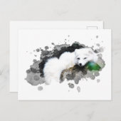 *~* Wildtiere AP18 Schneearktis Weißer Polar Fox Postkarte (Vorne/Hinten)