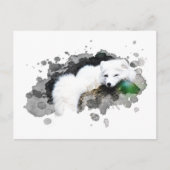 *~* Wildtiere AP18 Schneearktis Weißer Polar Fox Postkarte (Vorderseite)