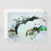 *~* Wildtiere AP18 Schneeweißpolarfuchs Postkarte (Vorne/Hinten)