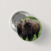 Wildtiere  button (Vorne & Hinten)