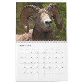 Wildtiere des Kanadischen Prärienkalenders Kalender (Mär 2026)