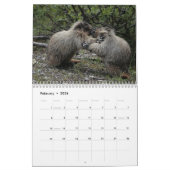 Wildtiere des Kanadischen Prärienkalenders Kalender (Feb 2026)