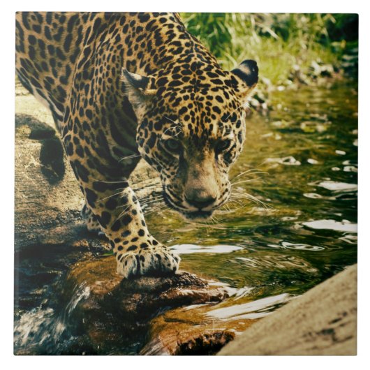 Wildtiere Fliese (Vorderseite)