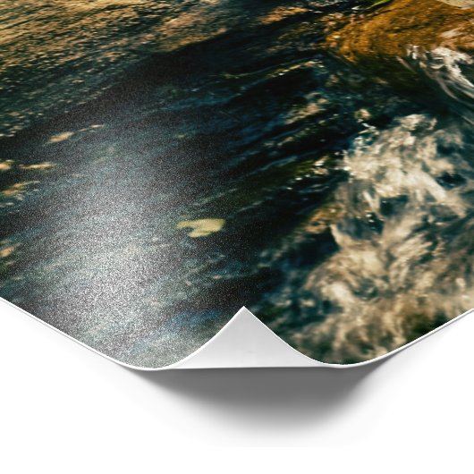 Wildtiere Fotodruck (Ecke)