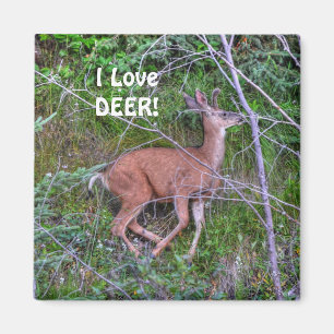 Wildtiere für Outdoor-Liebhaber Magnet