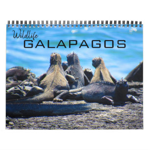 Wildtiere Galapagos 2027 Kalender