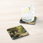 Wildtiere Getränkeuntersetzer (Rechte Seite)