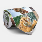 Wildtiere Giraffe Tiger Lemur Eichhörnchen Wild Krawatte (Gerollt)