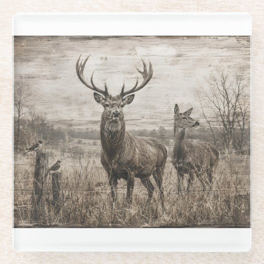 Wildtiere Glasuntersetzer (Vorderseite)