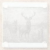 Wildtiere Glasuntersetzer (Rückseite)