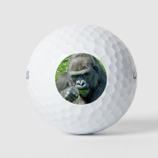 WILDTIERE - GORILLAS GOLFBALL (Vorderseite)