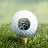 WILDTIERE - GORILLAS GOLFBALL (Insitu T-Shirt)