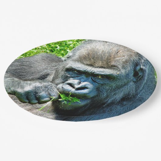 WILDTIERE - GORILLAS PAPPTELLER (Schrägansicht)