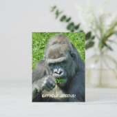 WILDTIERE - GORILLAS POSTKARTE (Stehend Vorderseite)