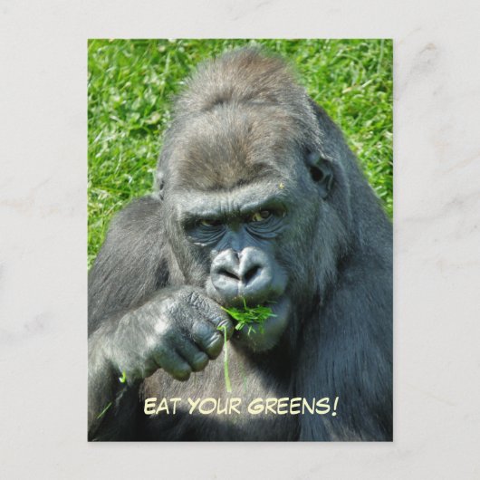 WILDTIERE - GORILLAS POSTKARTE (Vorderseite)