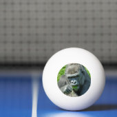 WILDTIERE - GORILLAS TISCHTENNISBALL (Netto)