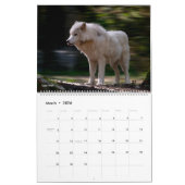 Wildtiere im Nordwesten der USA Kalender (Mär 2026)