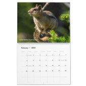 Wildtiere im Nordwesten der USA Kalender (Feb 2026)