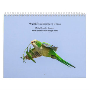 Wildtiere im Süden von Texas, 2026 Kalender
