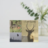 Wildtiere in Seattle Postkarte (Stehend Vorderseite)