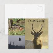 Wildtiere in Seattle Postkarte (Vorne/Hinten)