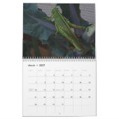 Wildtiere & Insekten Kalender (Mär 2027)