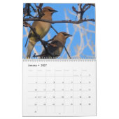 Wildtiere & Insekten Kalender (Jan 2027)