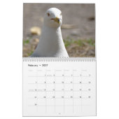 Wildtiere & Insekten Kalender (Feb 2027)