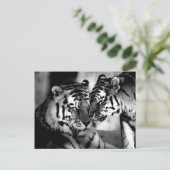 Wildtiere, phantastischer Tiger Postkarte (Stehend Vorderseite)