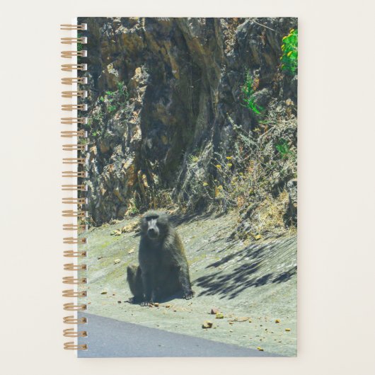 Wildtiere Planer (Vorderseite)