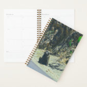 Wildtiere Planer (Anzeige)