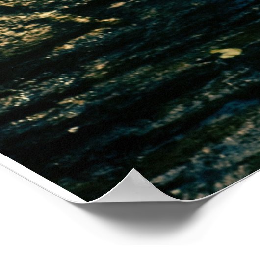 Wildtiere Poster (Ecke)