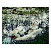 Wildtiere Poster (Vorderseite)