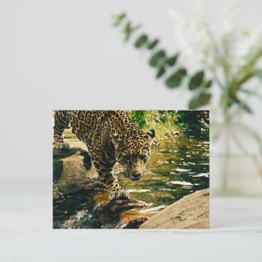 Wildtiere Postkarte (Stehend Vorderseite)