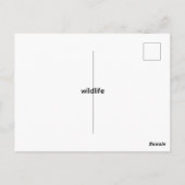 Wildtiere Postkarte (Rückseite)