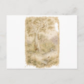 Wildtiere Postkarte (Vorderseite)