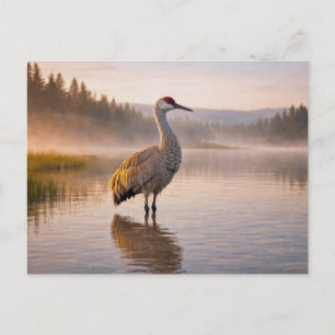 Wildtiere Sandhill-Kranich Feuchtgebiet Postkarte