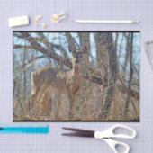 Wildtiere seidenpapier (Handwerk)