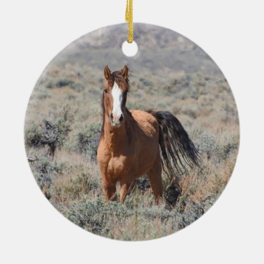 Wildtiere, Wildpferde Keramik Ornament (Hinten)