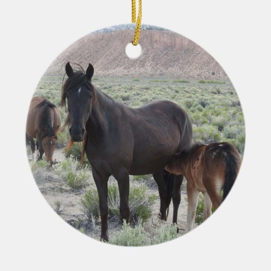 Wildtiere, Wildpferde, Natur, Tiere Keramik Ornament (Vorne)