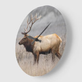 Wildtiere Wildtiere Naturbuck Große Wanduhr (Winkel)