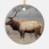 Wildtiere Wildtiere Naturbuck Keramik Ornament (Vorne)