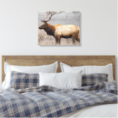 Wildtiere Wildtiere Naturbuck Leinwanddruck (Insitu (Schlafzimmer))